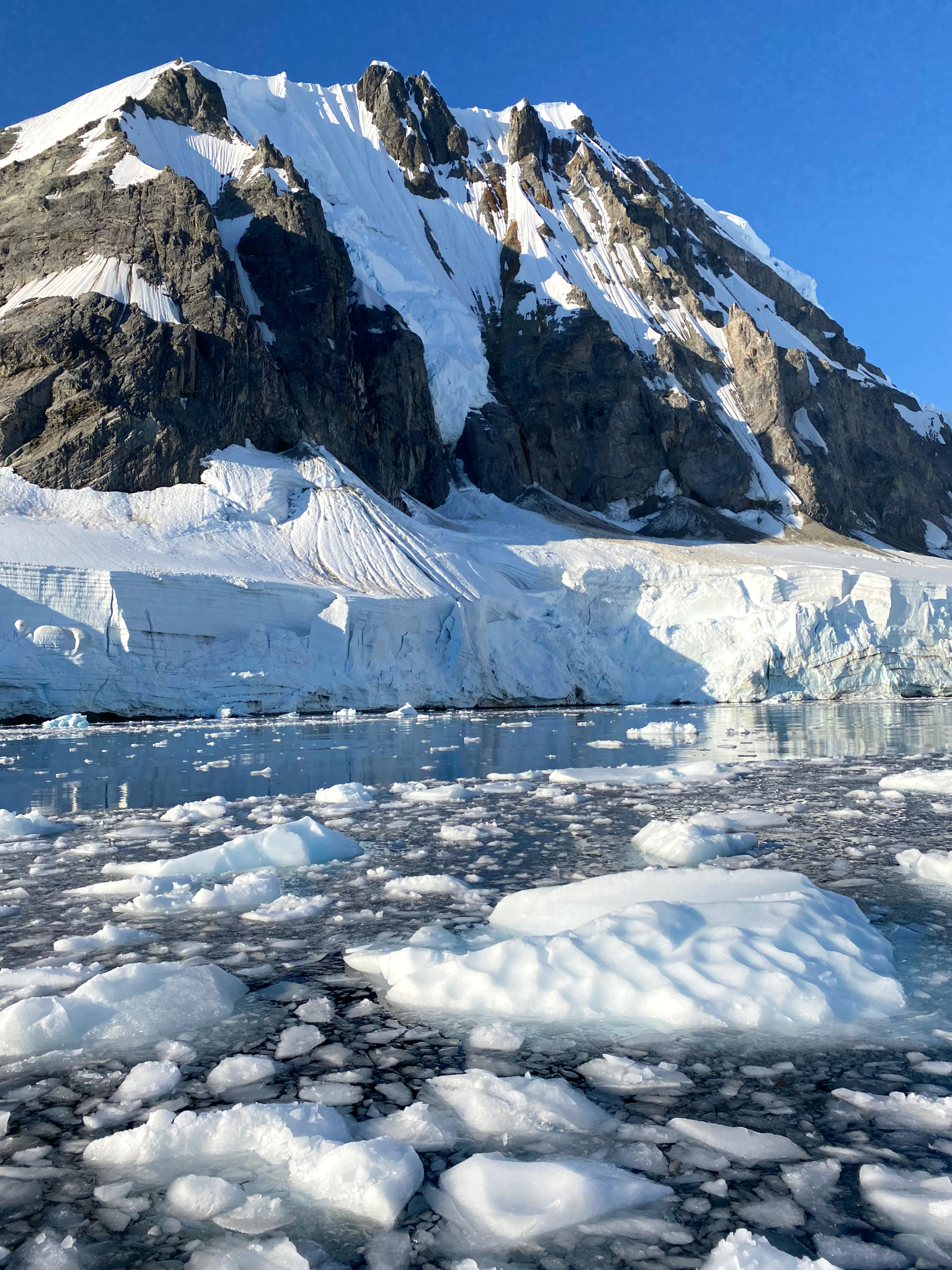 Mighty Cruise Ships expedition photo